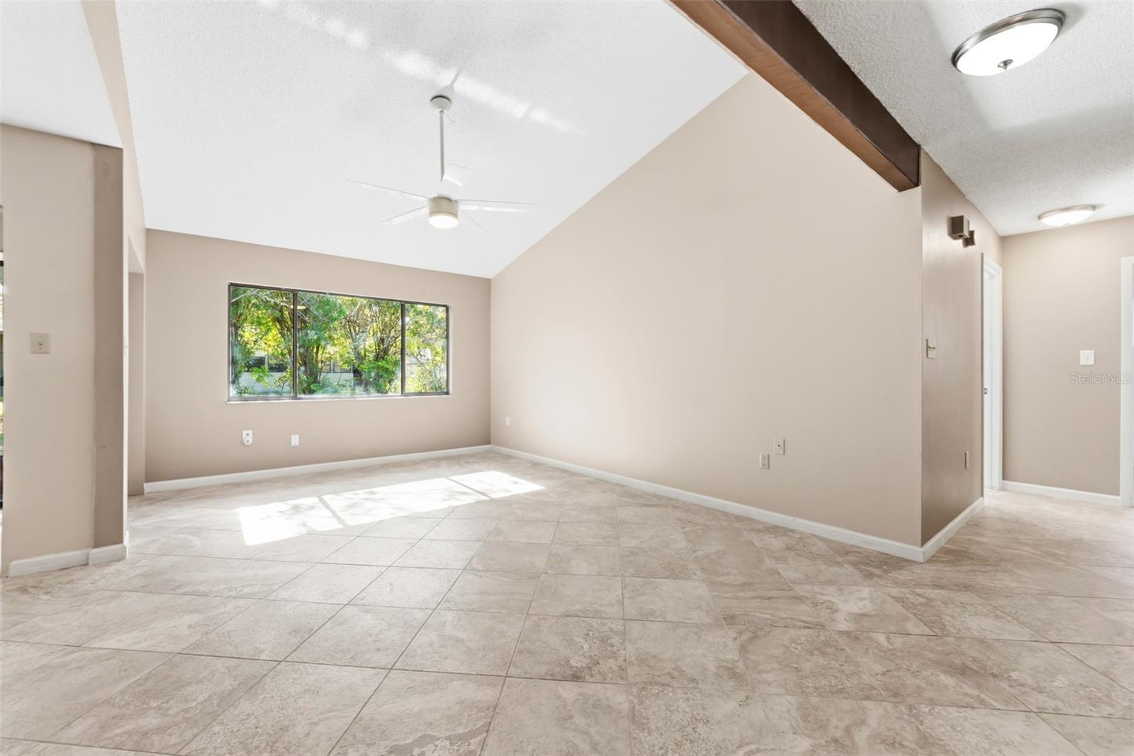 Living Rom with Natural Light!