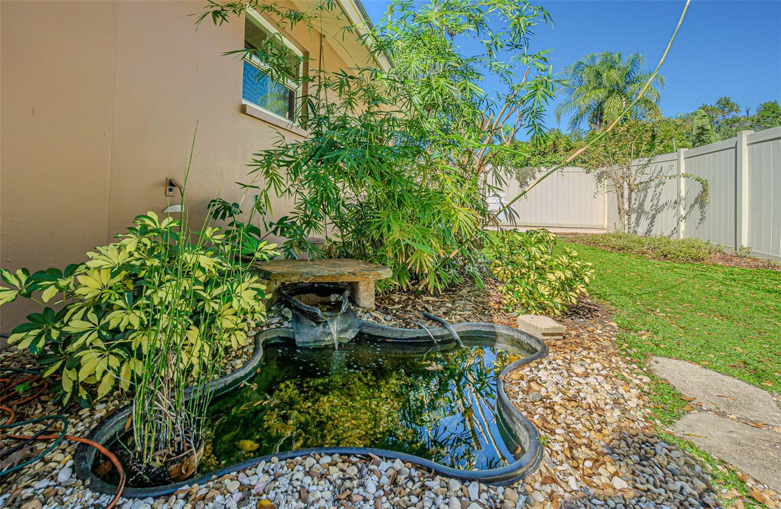 Koi pond in the backyard.