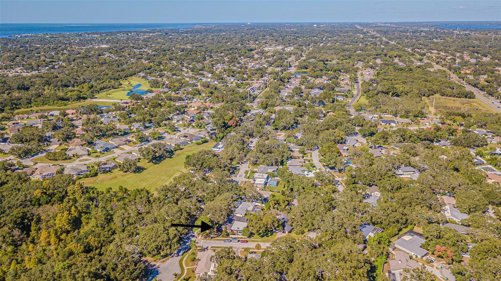 936 Highview is approximately 5 miles to Caladesi Island.