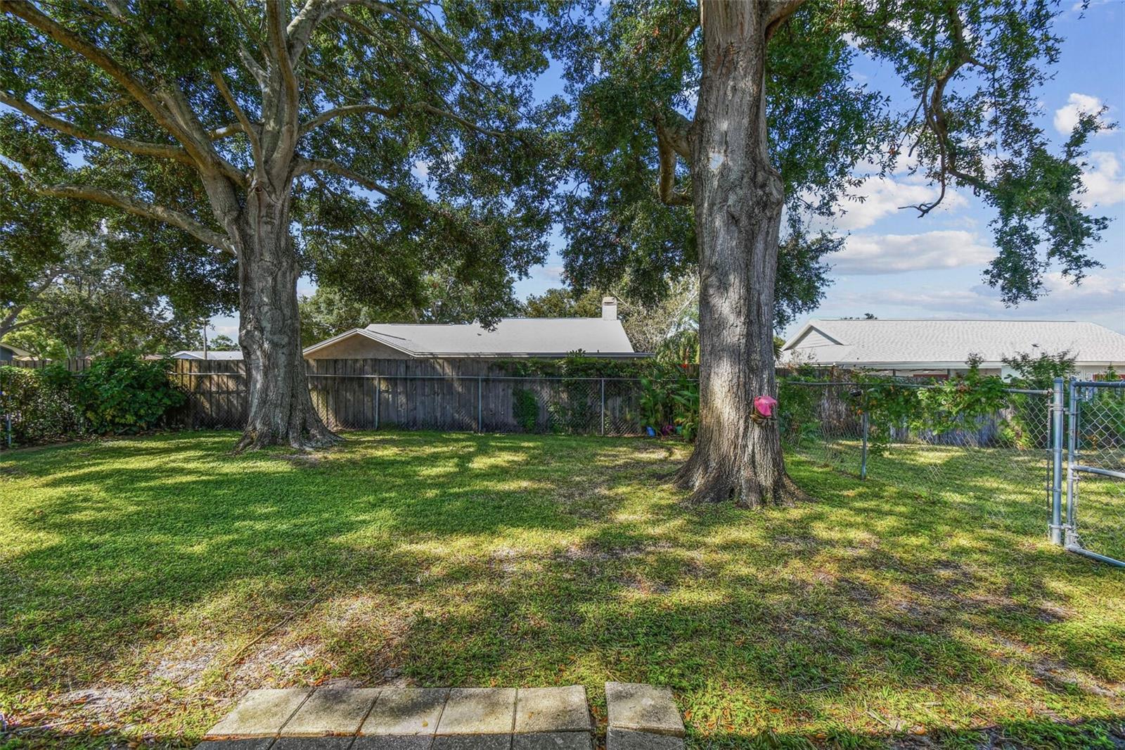 Backyard