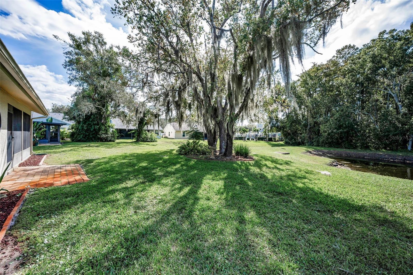 Rear yard - Maintenance Free