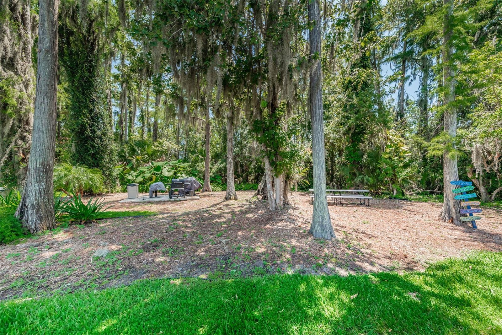 Picnic and Grilling Area