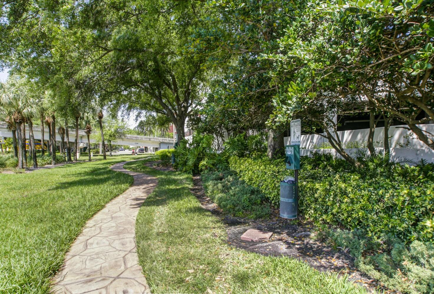 345 Bayshore dog walk