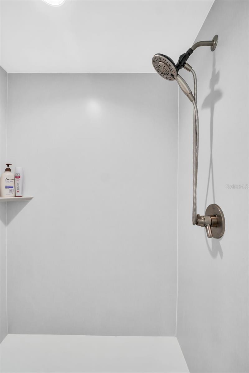 Primary Bathroom Shower