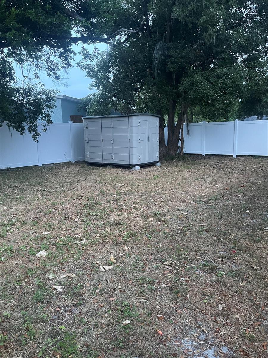 back yard