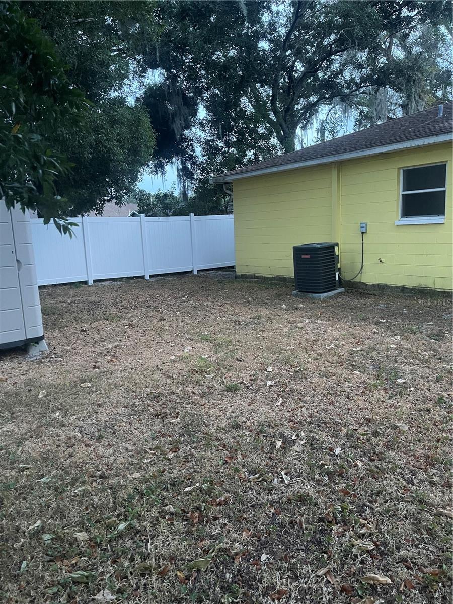 backyard