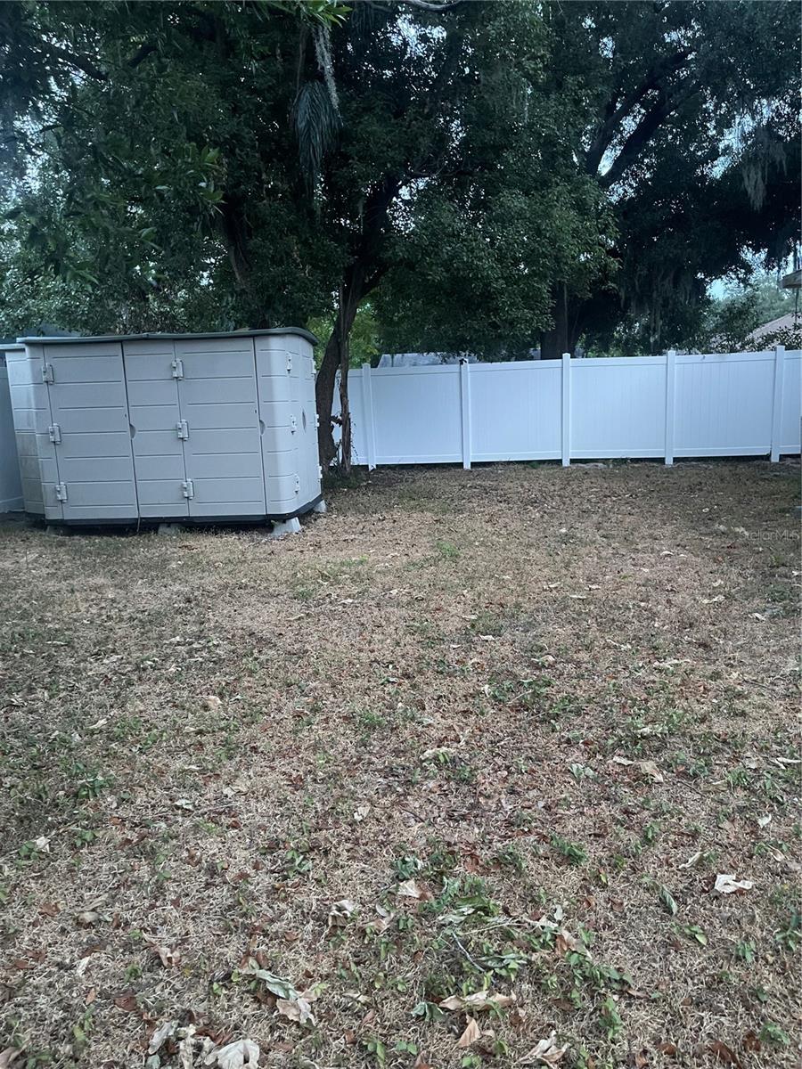 Back yard