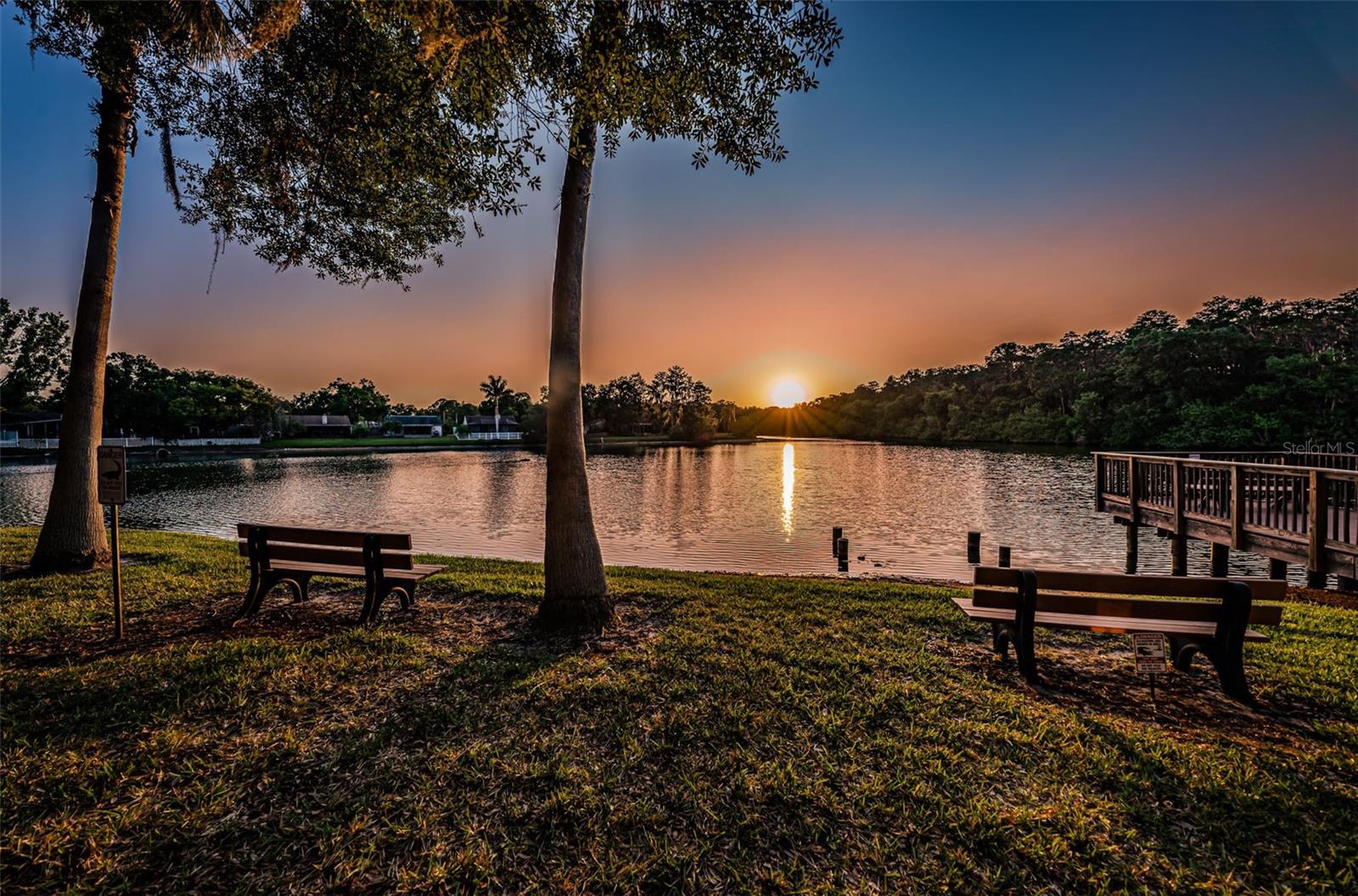 Forest Lakes Park and Water View