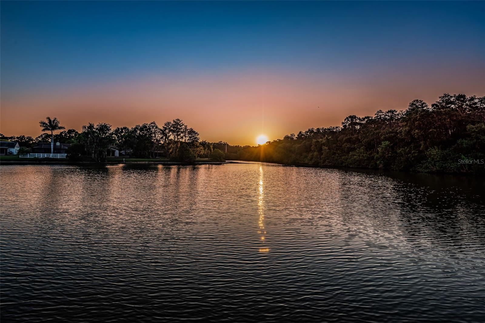 Forest Lakes Dock and Water View