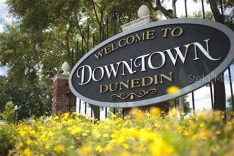 Downtown Dunedin