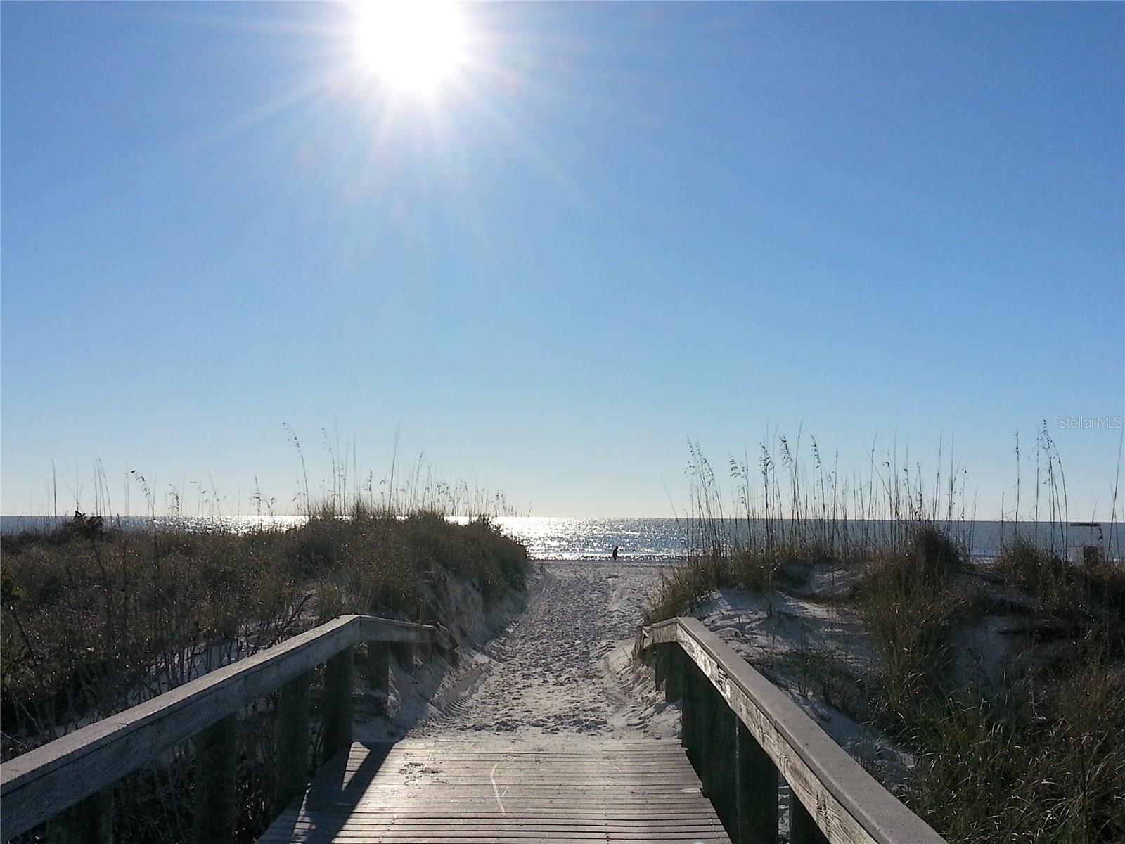 Sand dunes & the beach on the Gulf of Mexico.