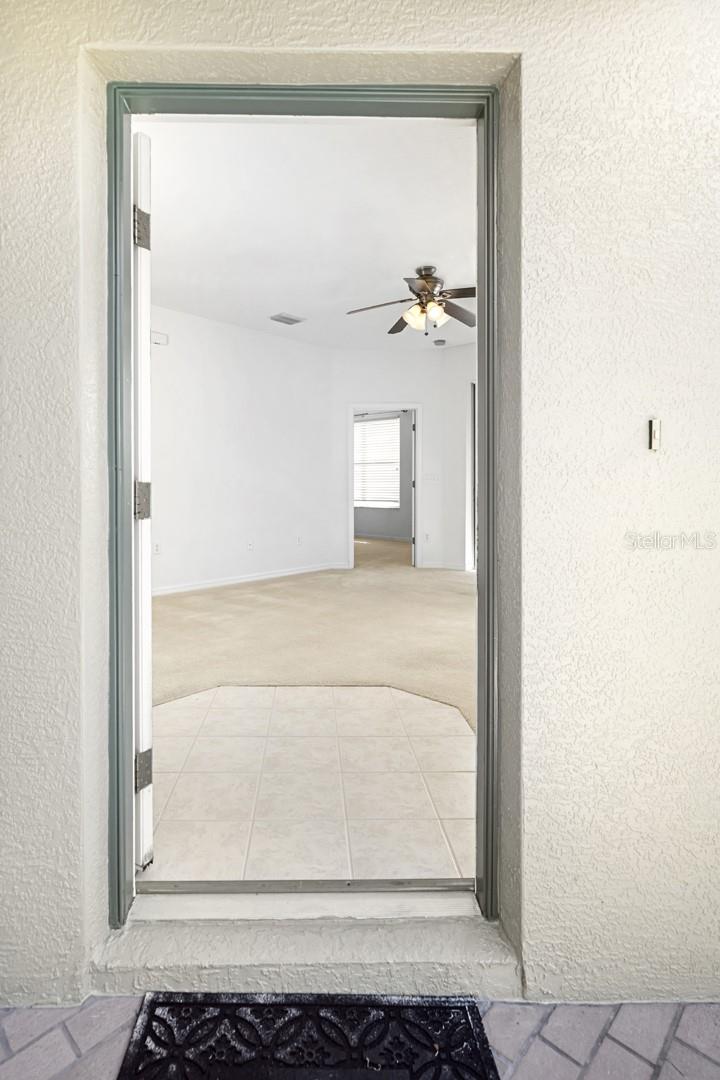 VIEW FROM FRONT DOOR, NATURAL LIGHT