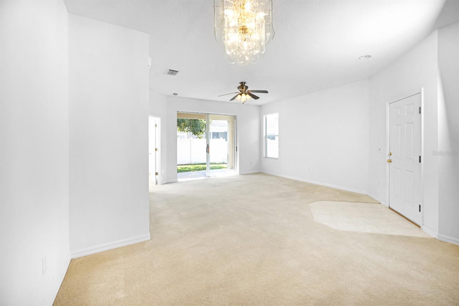 THIS VIEW CAPTURES THE GREAT NATURAL LIGHT