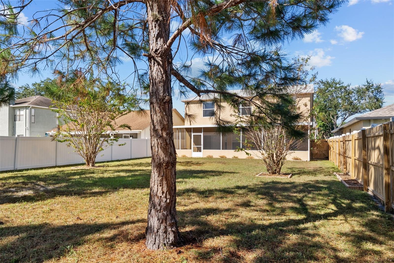 Another view of oversized backyard