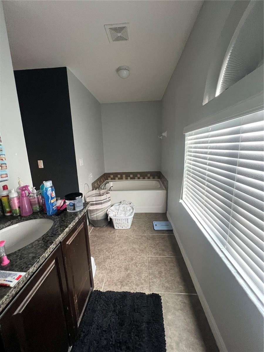 Primary Bathroom Tub