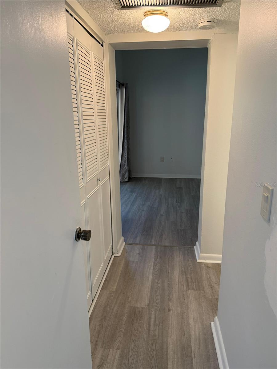 Hall to the primary bedroom, large closet on your left, updated bathroom on your right.