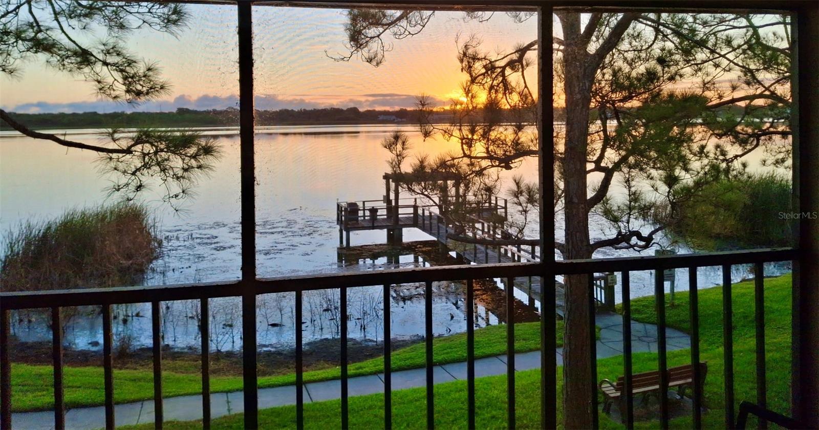 Beautiful evening views 10.29.25