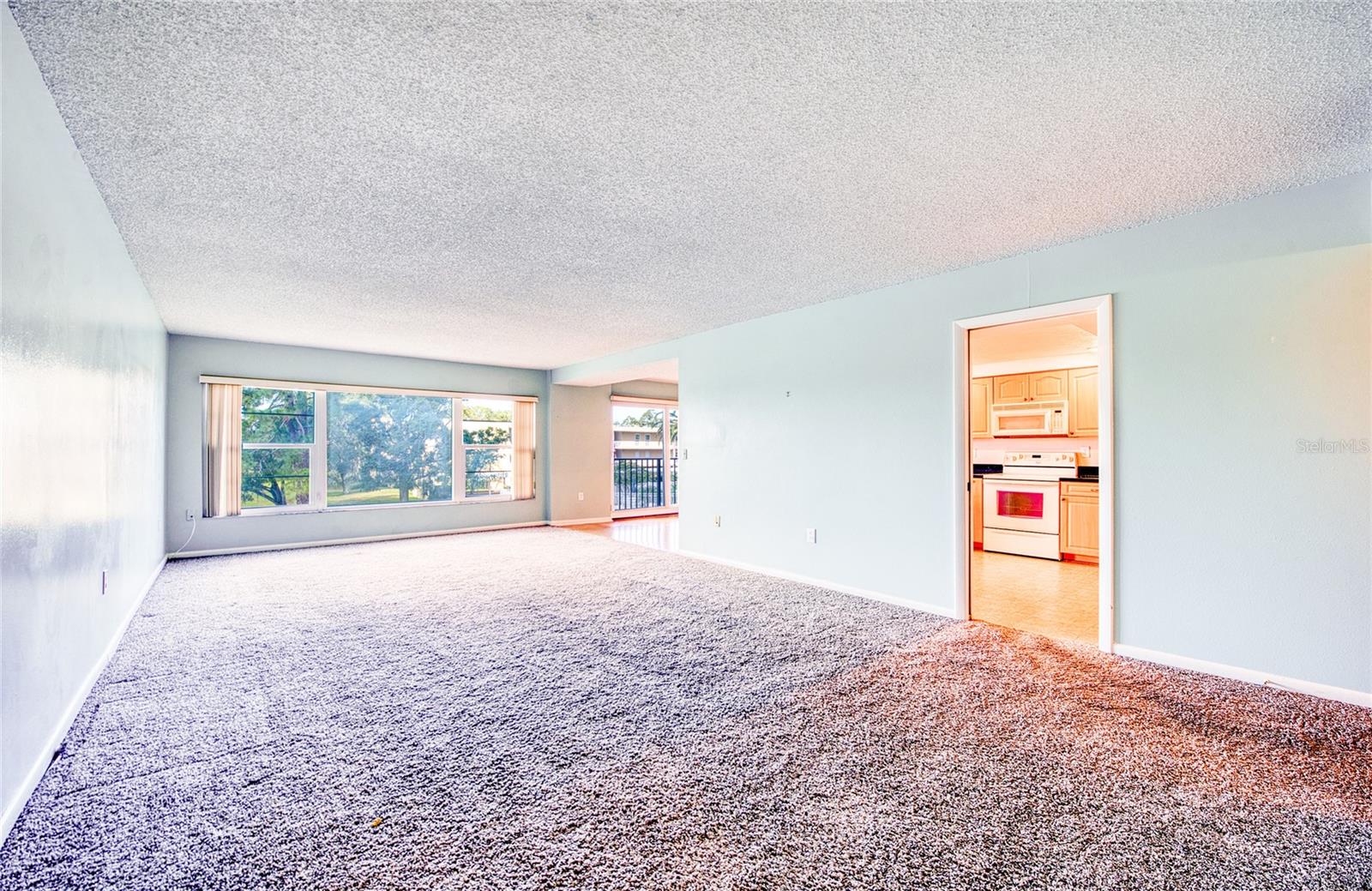 EXTREMELY LARGE LIVING ROOM