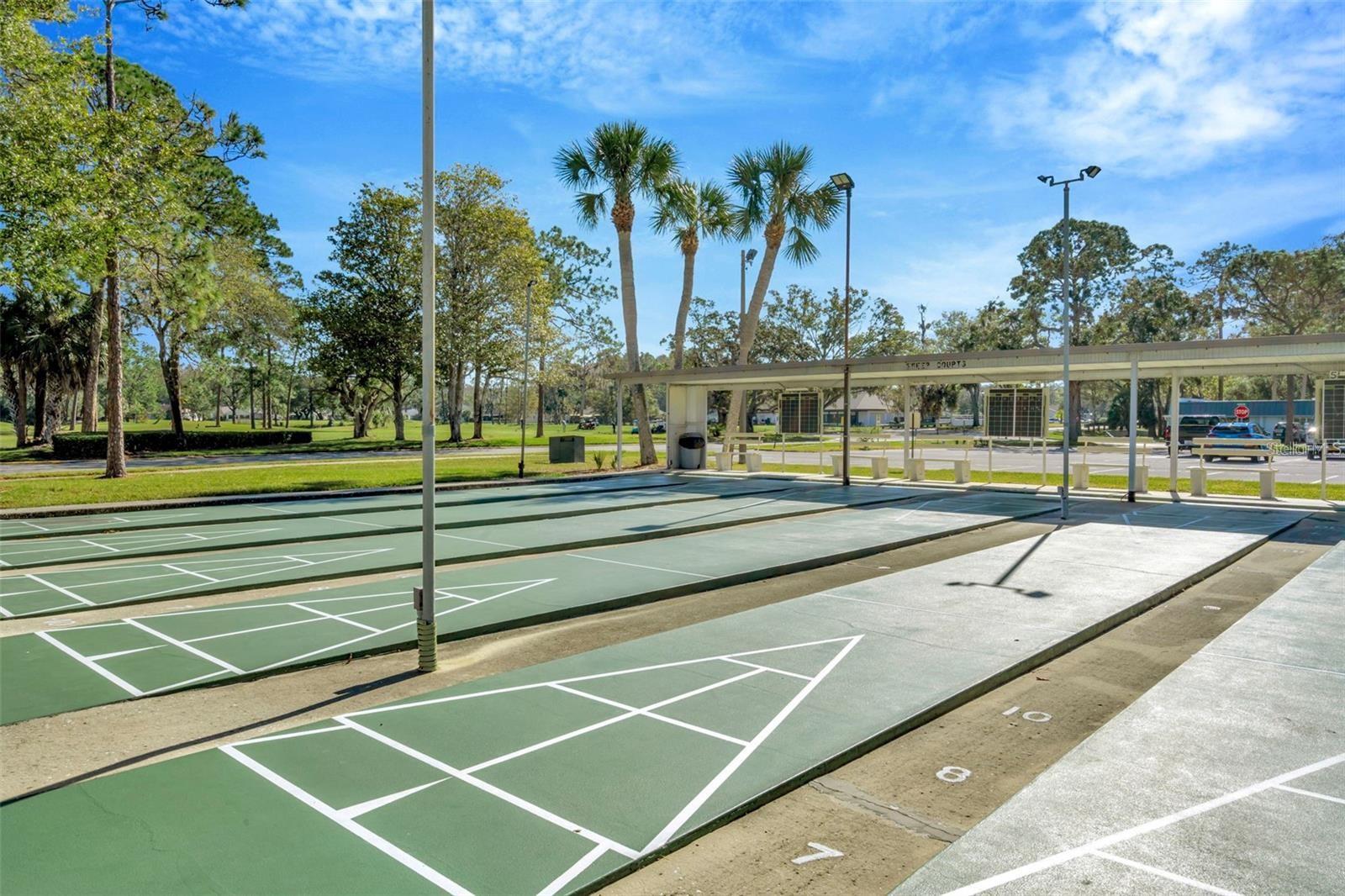DID ANYONE SAY SHUFFLEBOARD?   ......A CLASSIC FLORIDA PASS-TIME