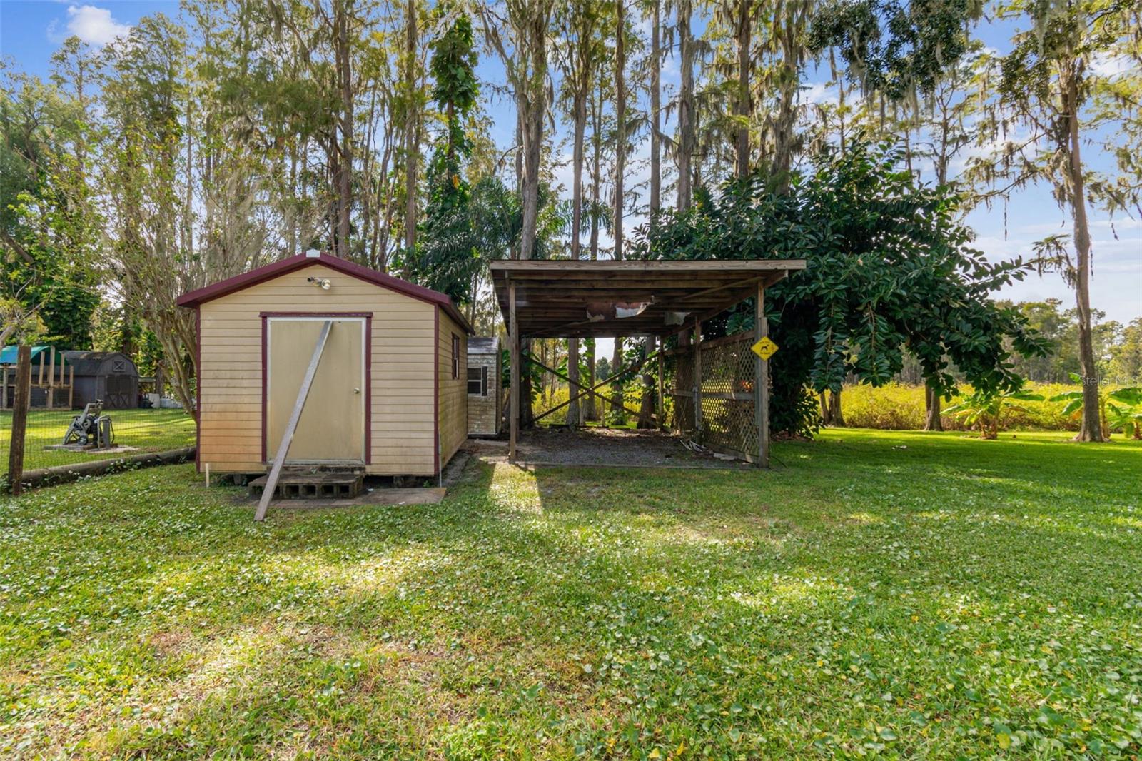 Shed & Other Structure