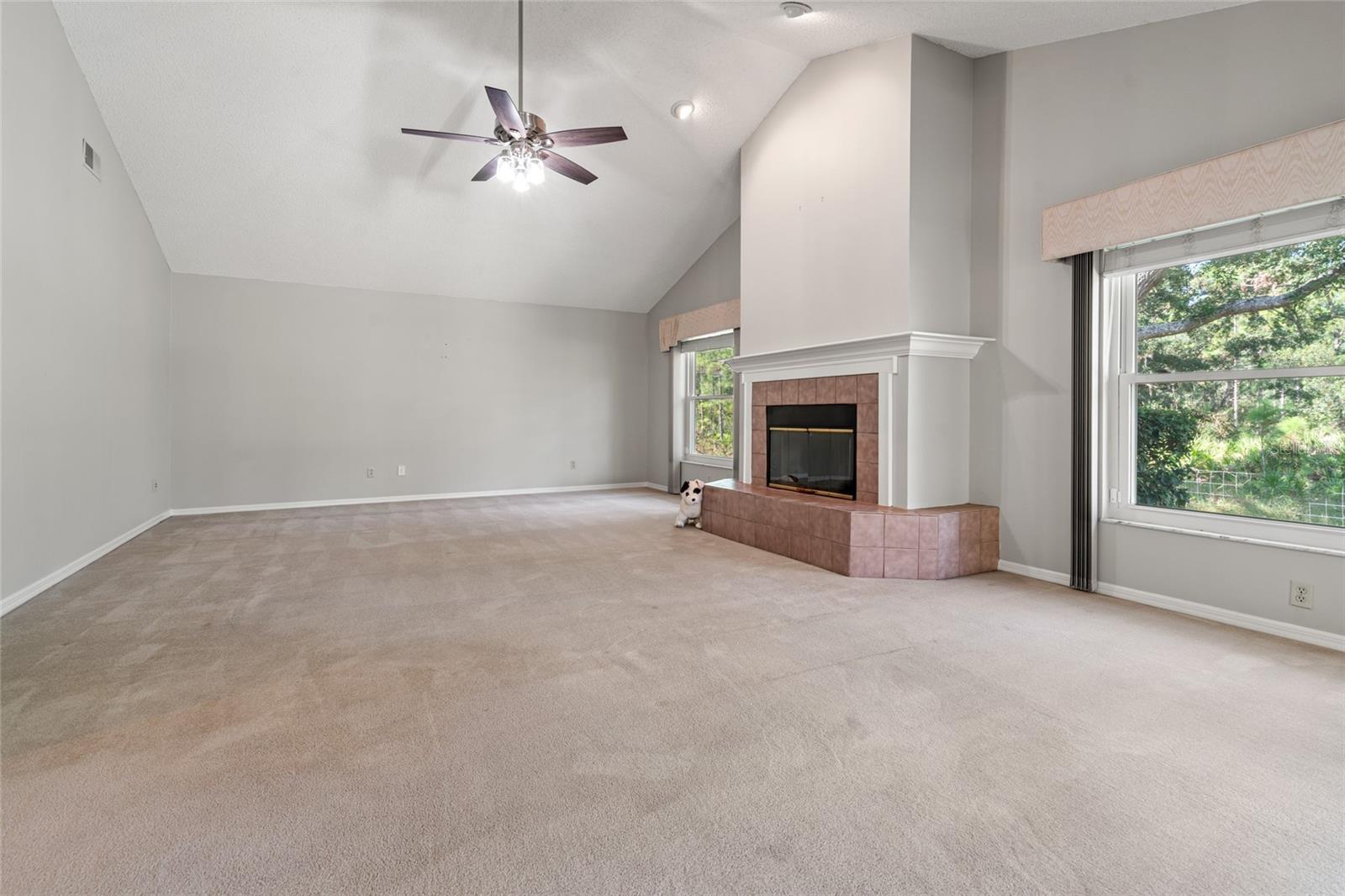 Large Family room w/ wood burning fireplace