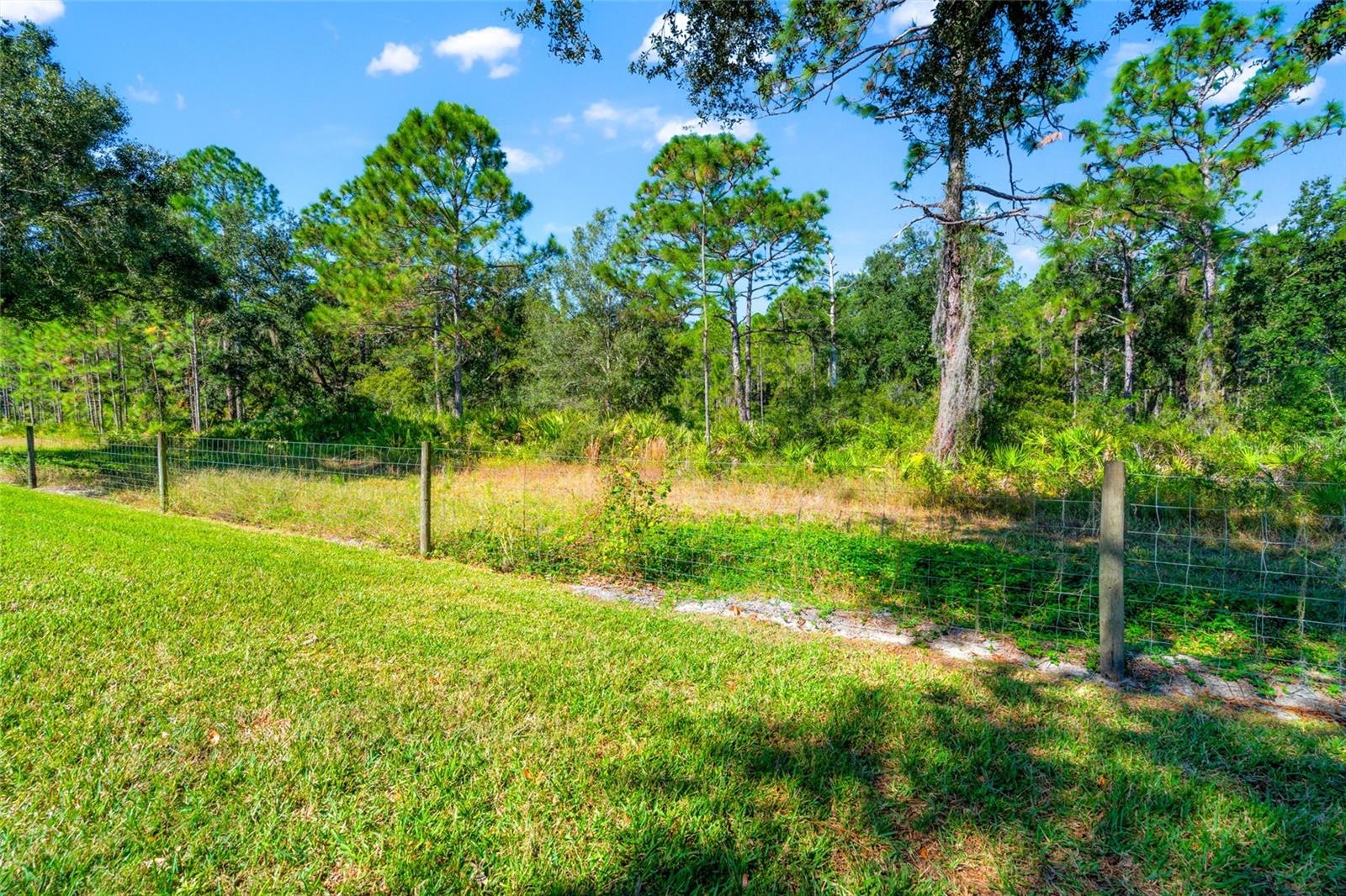 Flatwood Park, awesome view in your backyard