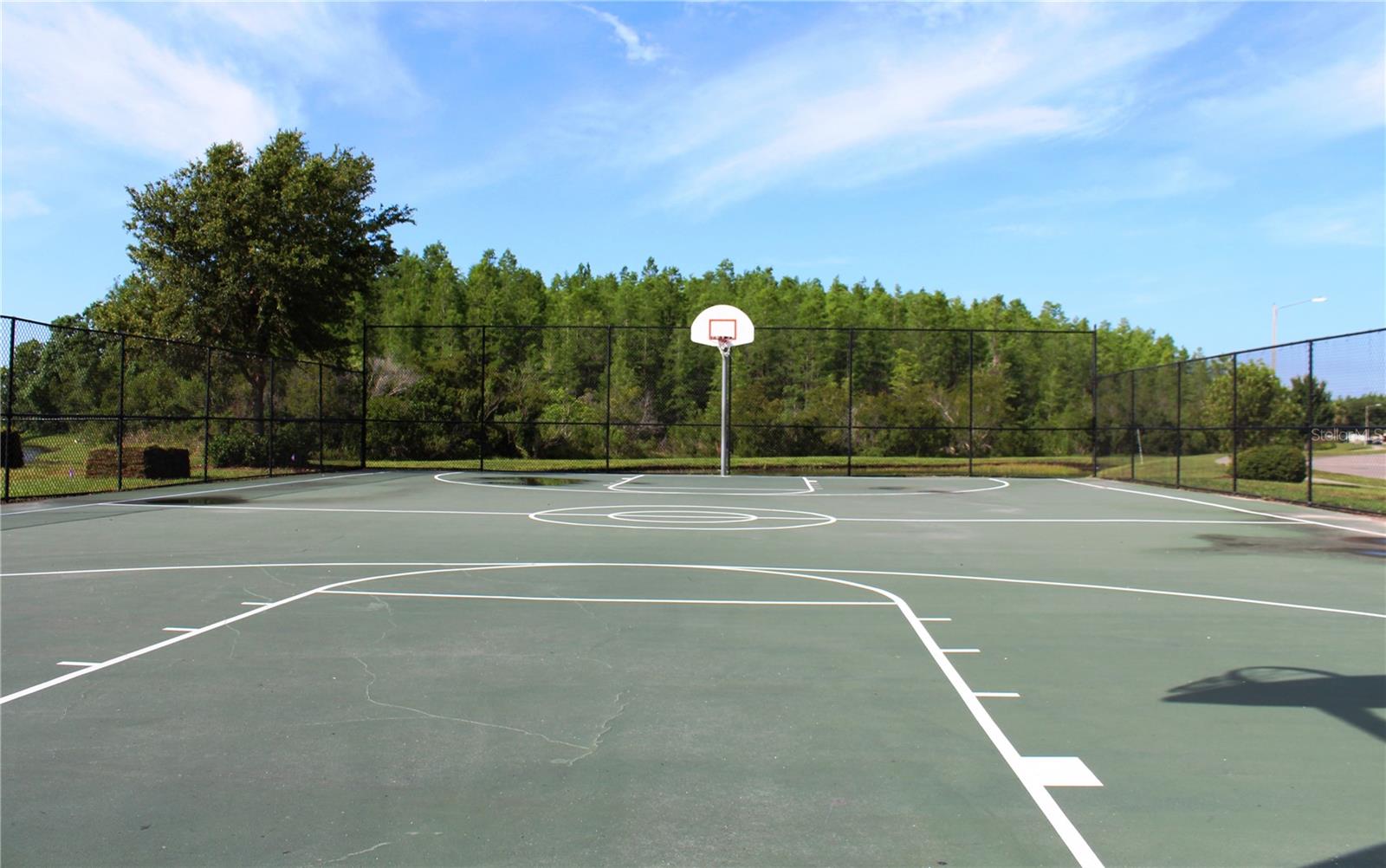 Basketball Court