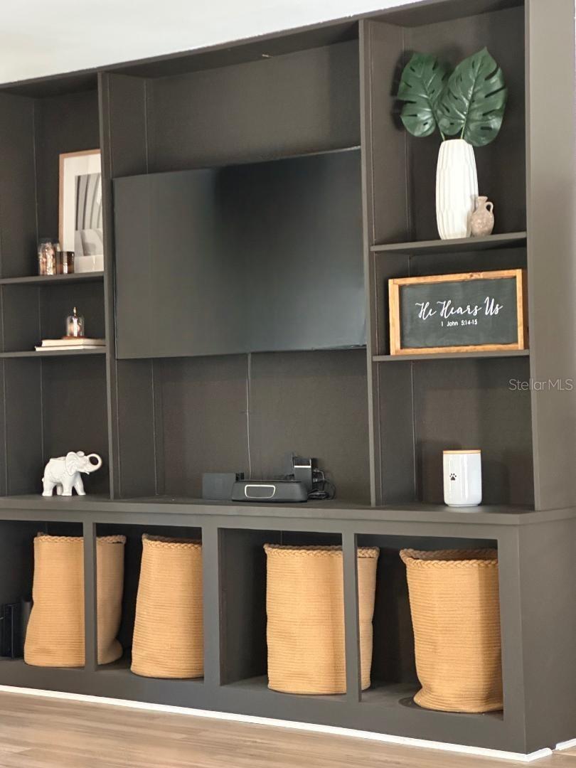 Built In Entertainment Center