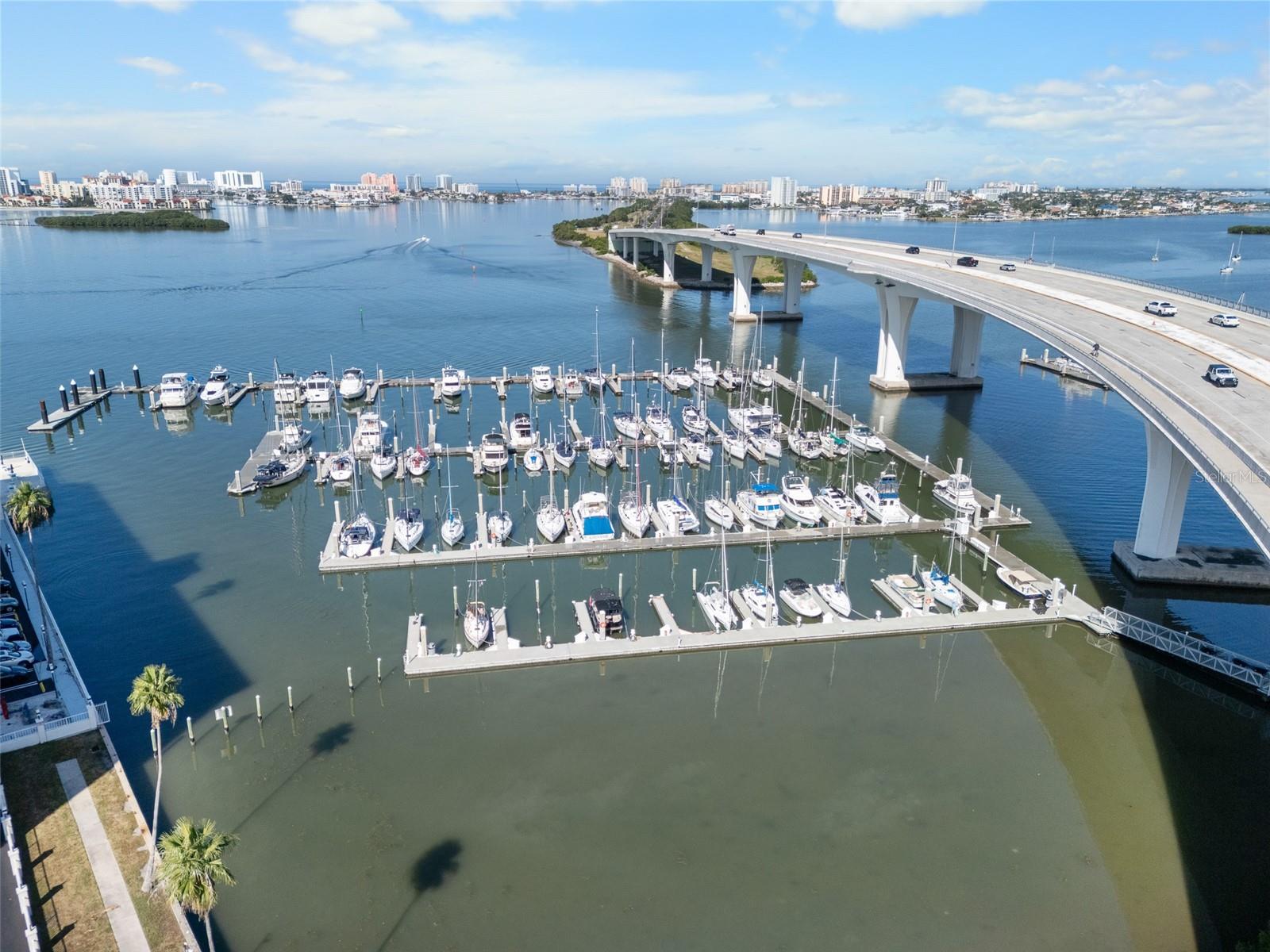 Clearwater Marina and Bridge