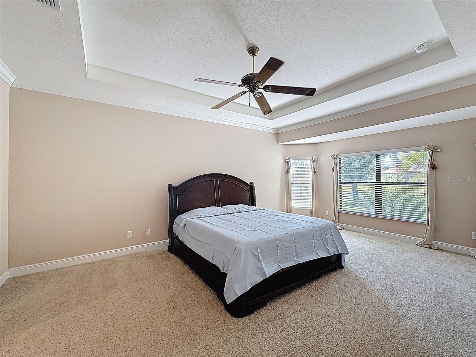 UNBELIEVABLE space for the Primary bedroom with lots of windows and natural light as well as crown molding and tray ceiling with ceiling fan