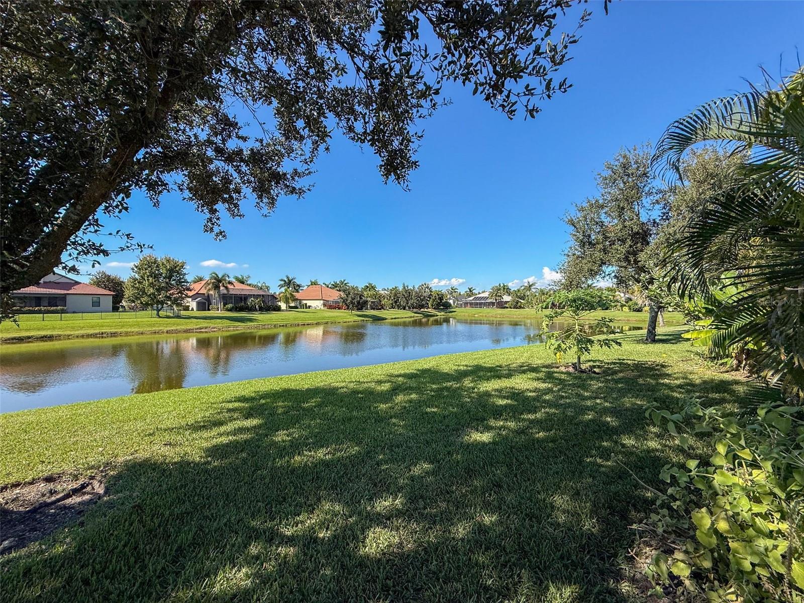Peaceful backyard water view