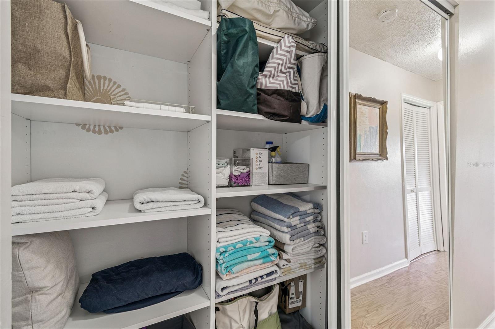 Great storage! Custom designed closet system...3rd door hides the hanging area of closet.