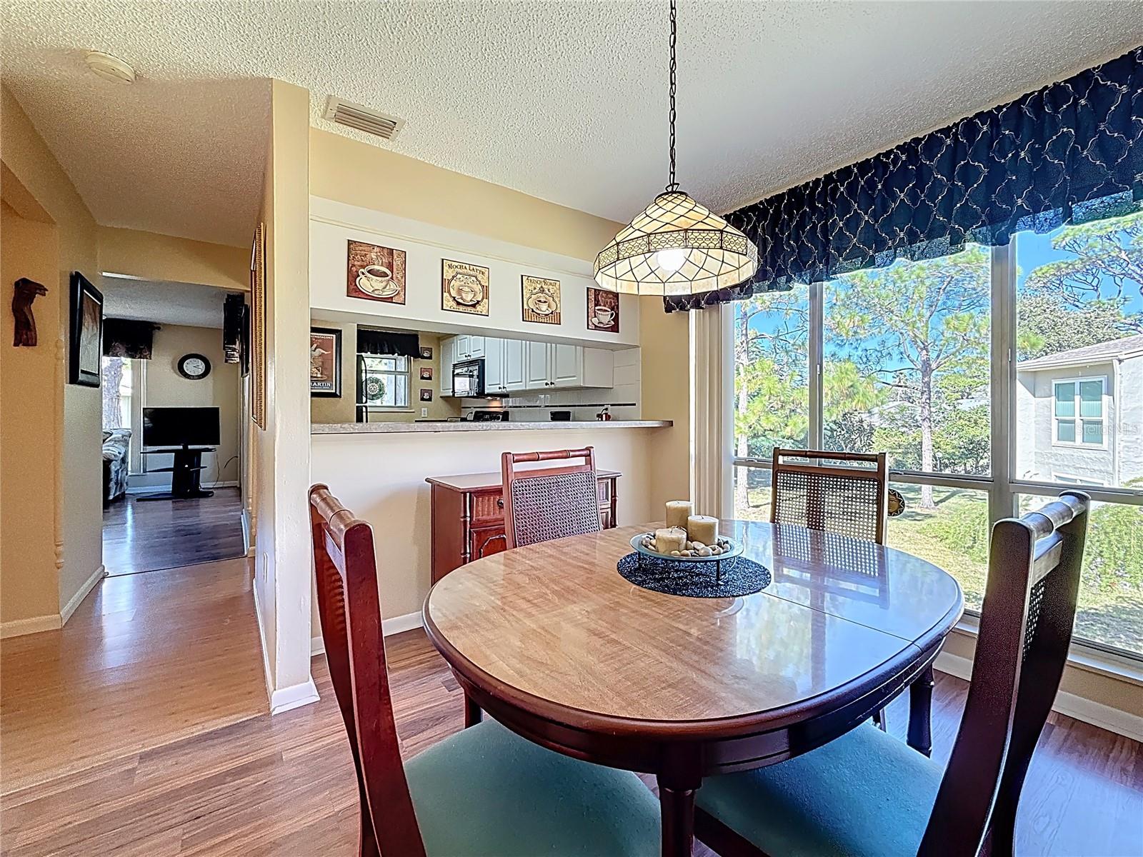 Dining Room - Kitchen - Foyer - Living Room