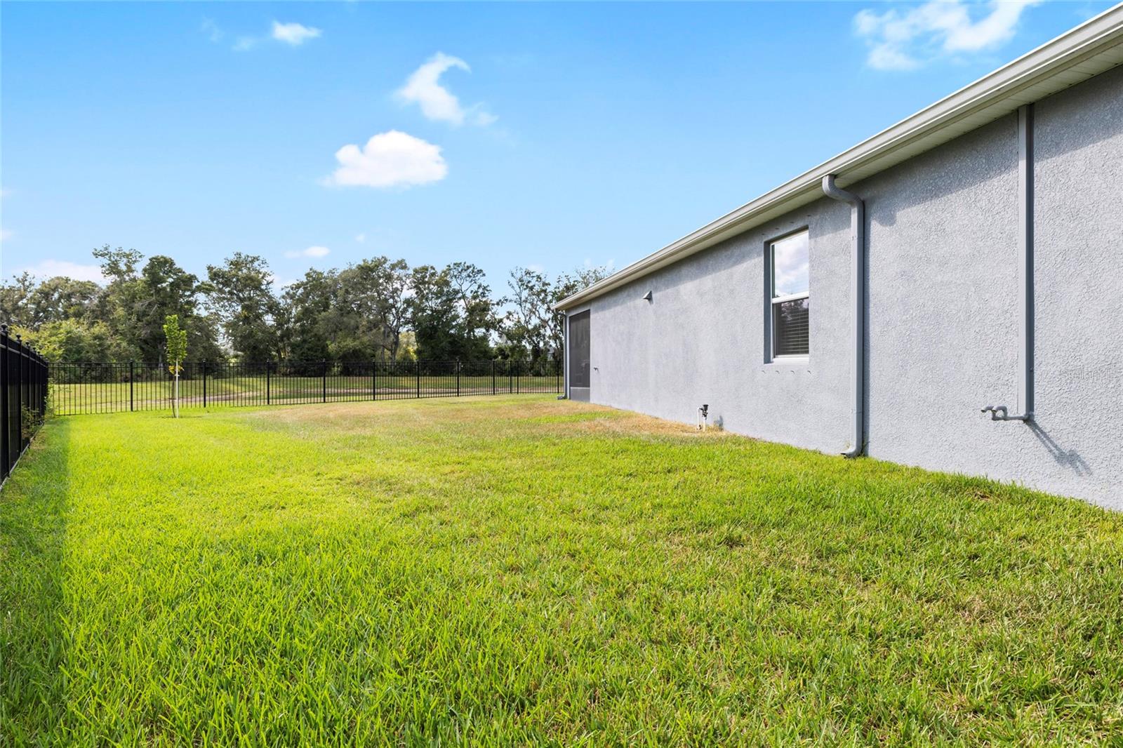 Large enough for a Pool!