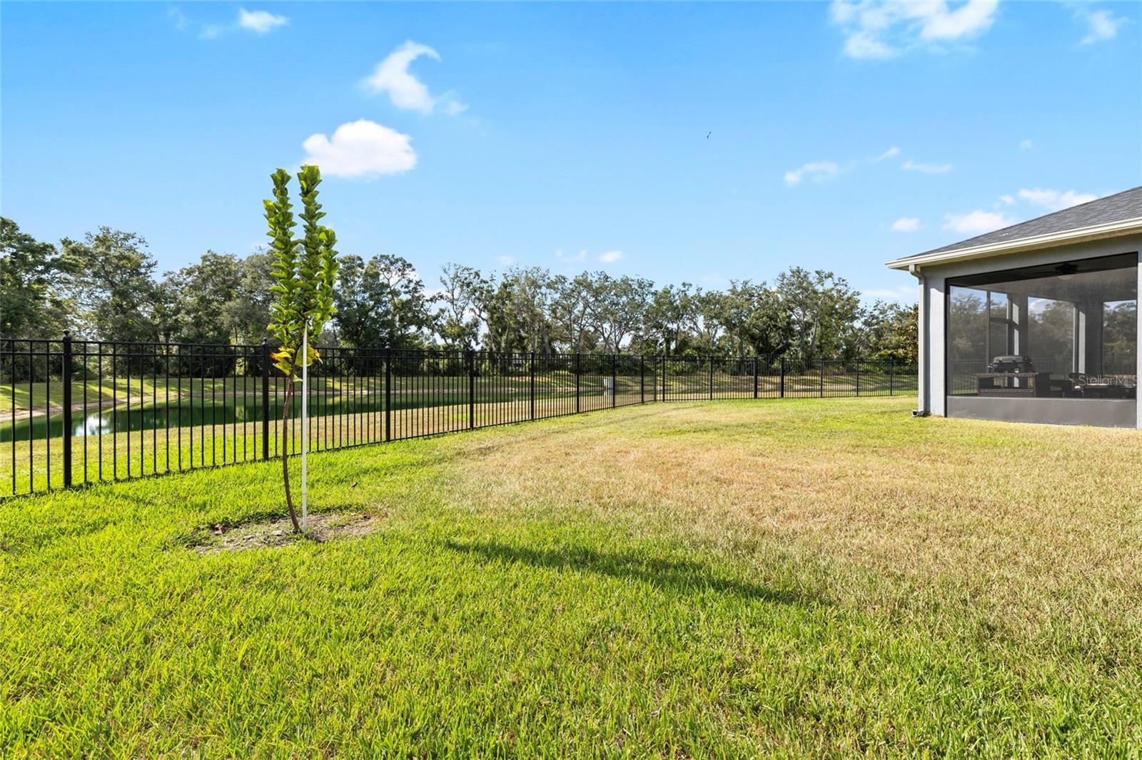 Large enough for a Pool!