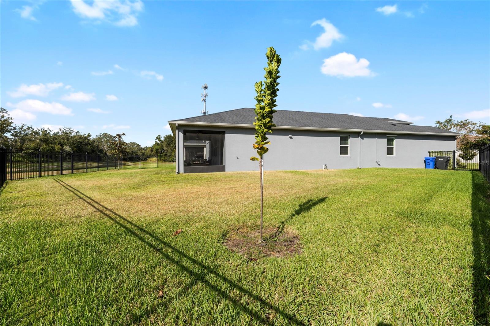 Large enough for a Pool!