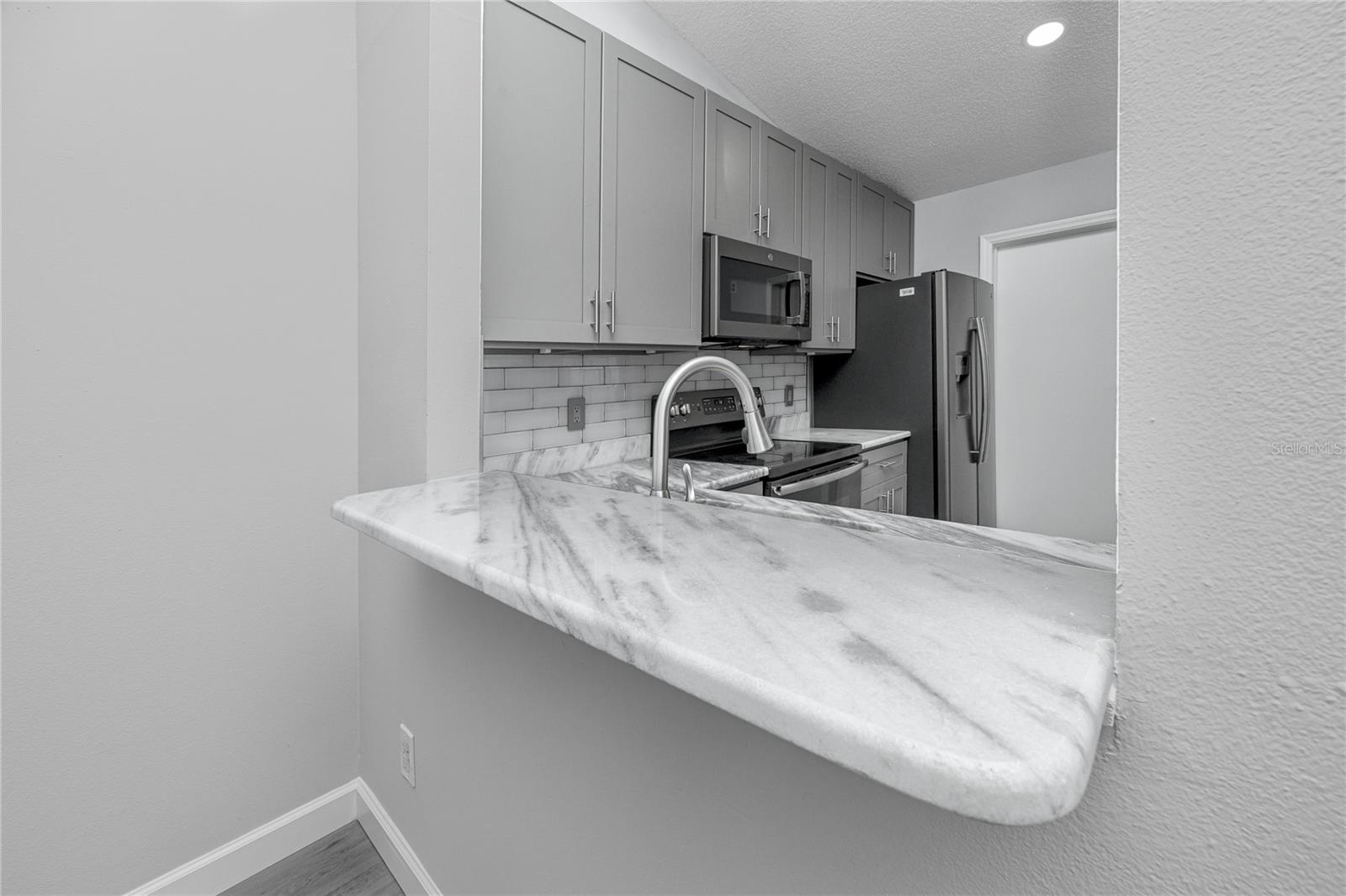 Looking into Kitchen