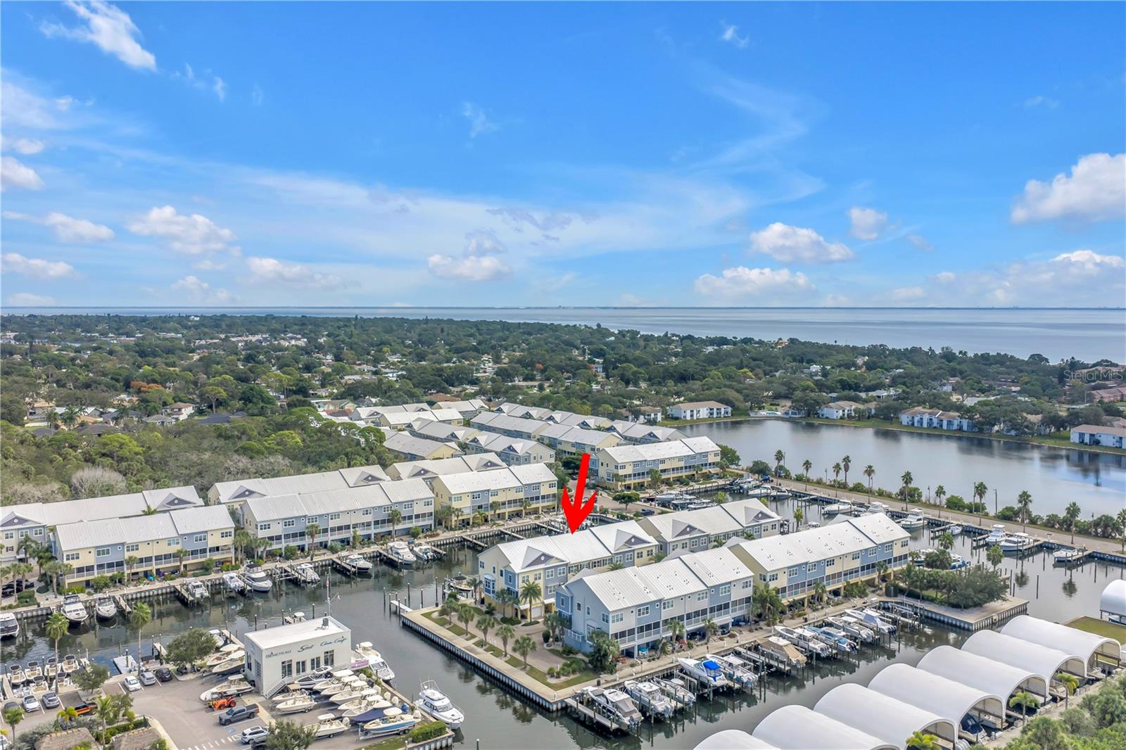 Aerial view of community and Tampa Bay