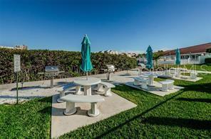 Picnic & Gas Grill area