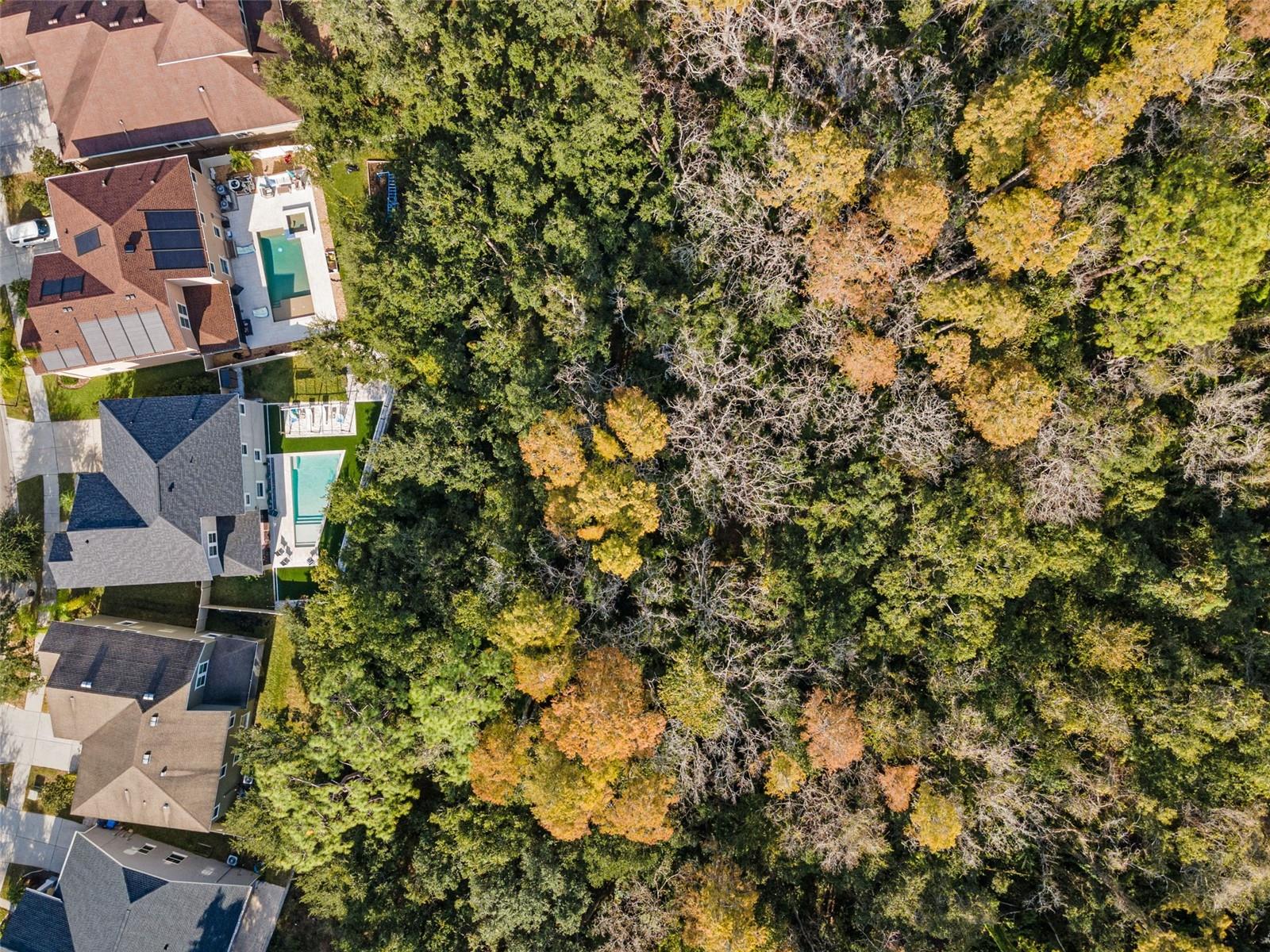 aerial of home (the one in the middle) showing the preserve behind the house