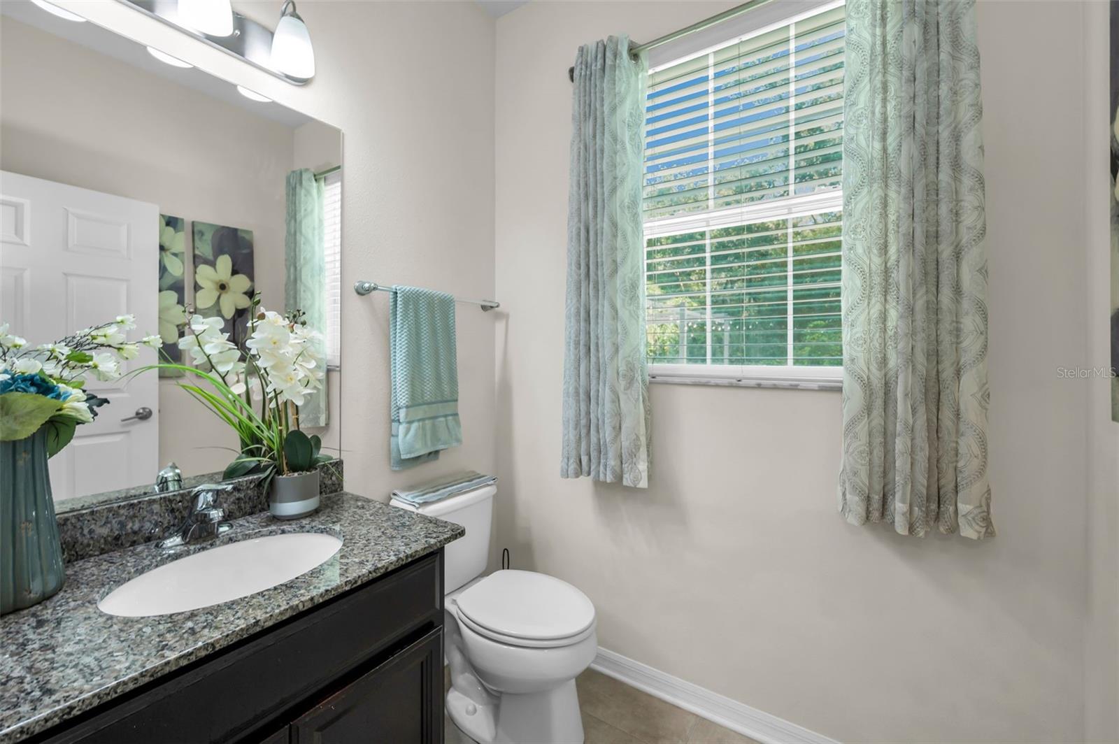 half bath (downstairs)