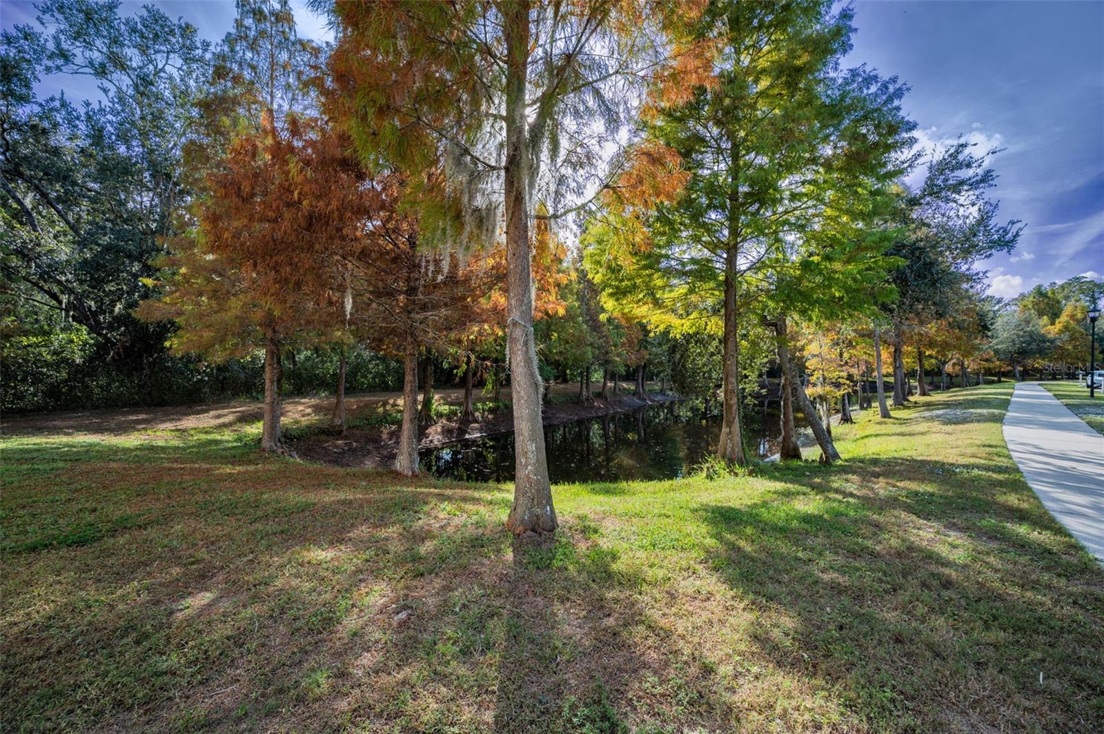 1 of the community ponds