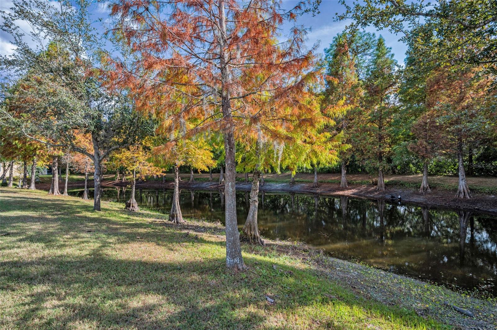 1 of the community ponds