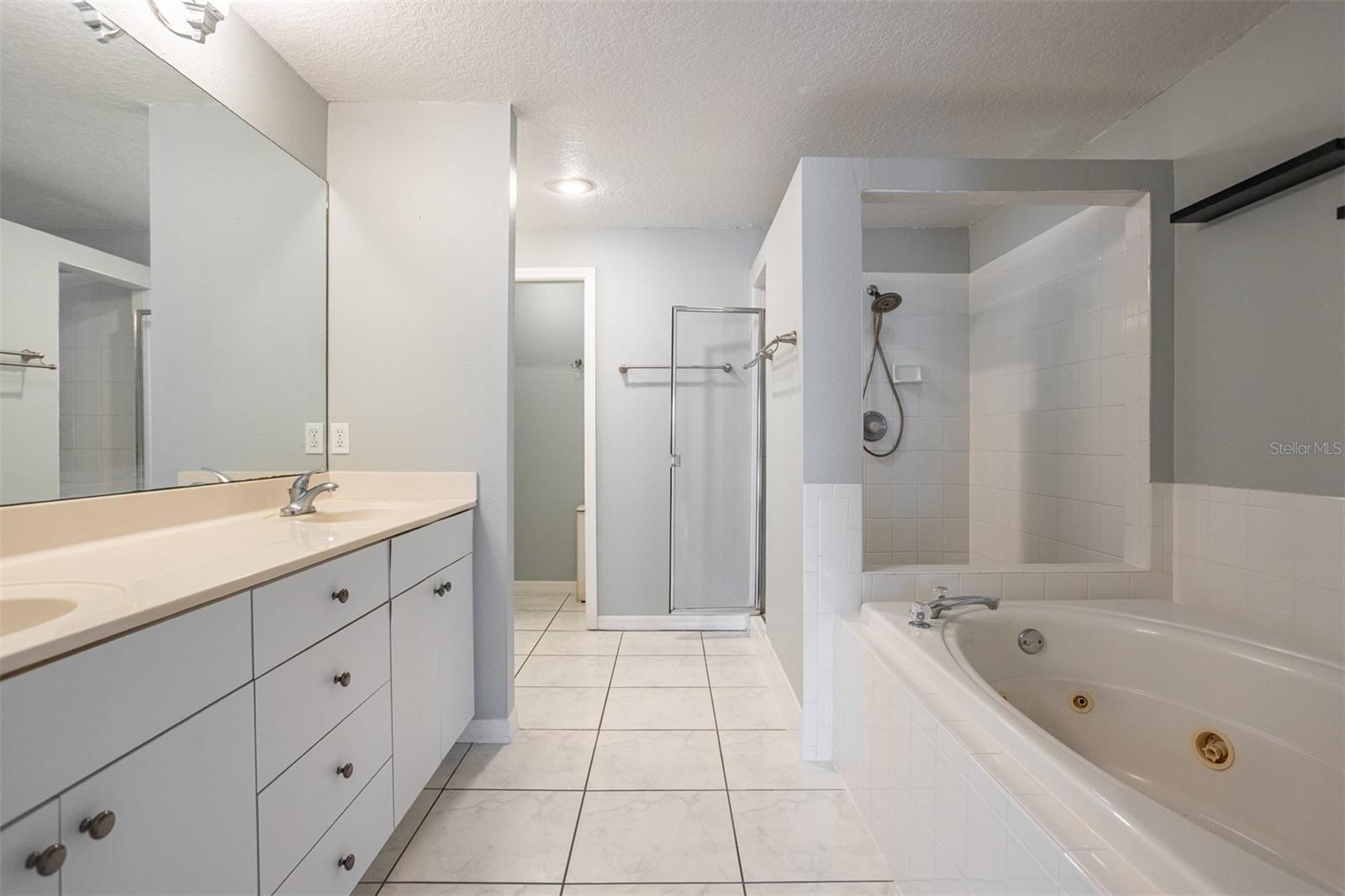 Spacious Master Bath with Jacuzzi Tub