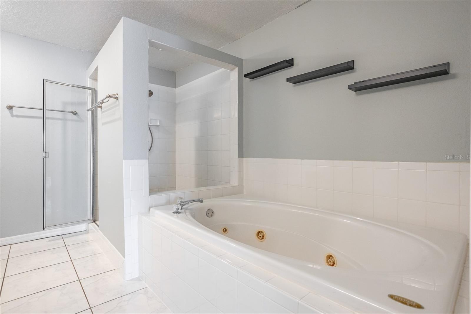 Jacuzzi Tub and Separate Shower