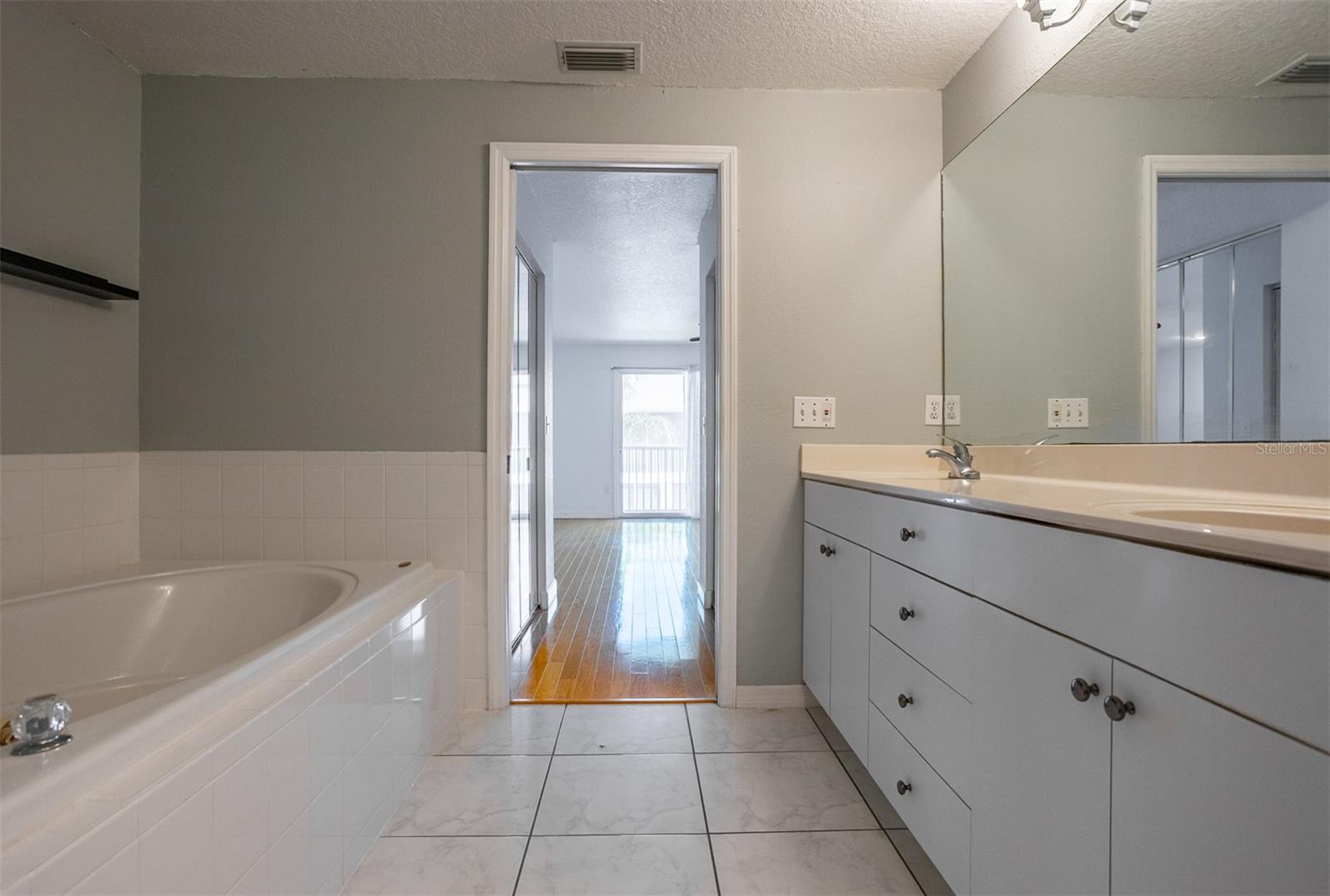 Spacious Master Bath with Jacuzzi Tub