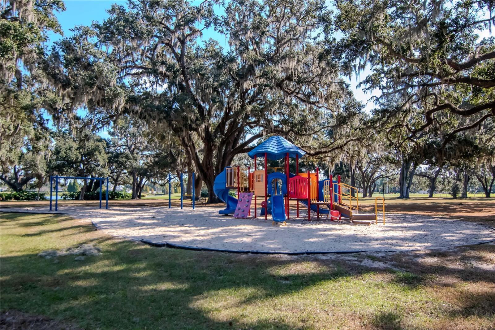 Community Playground