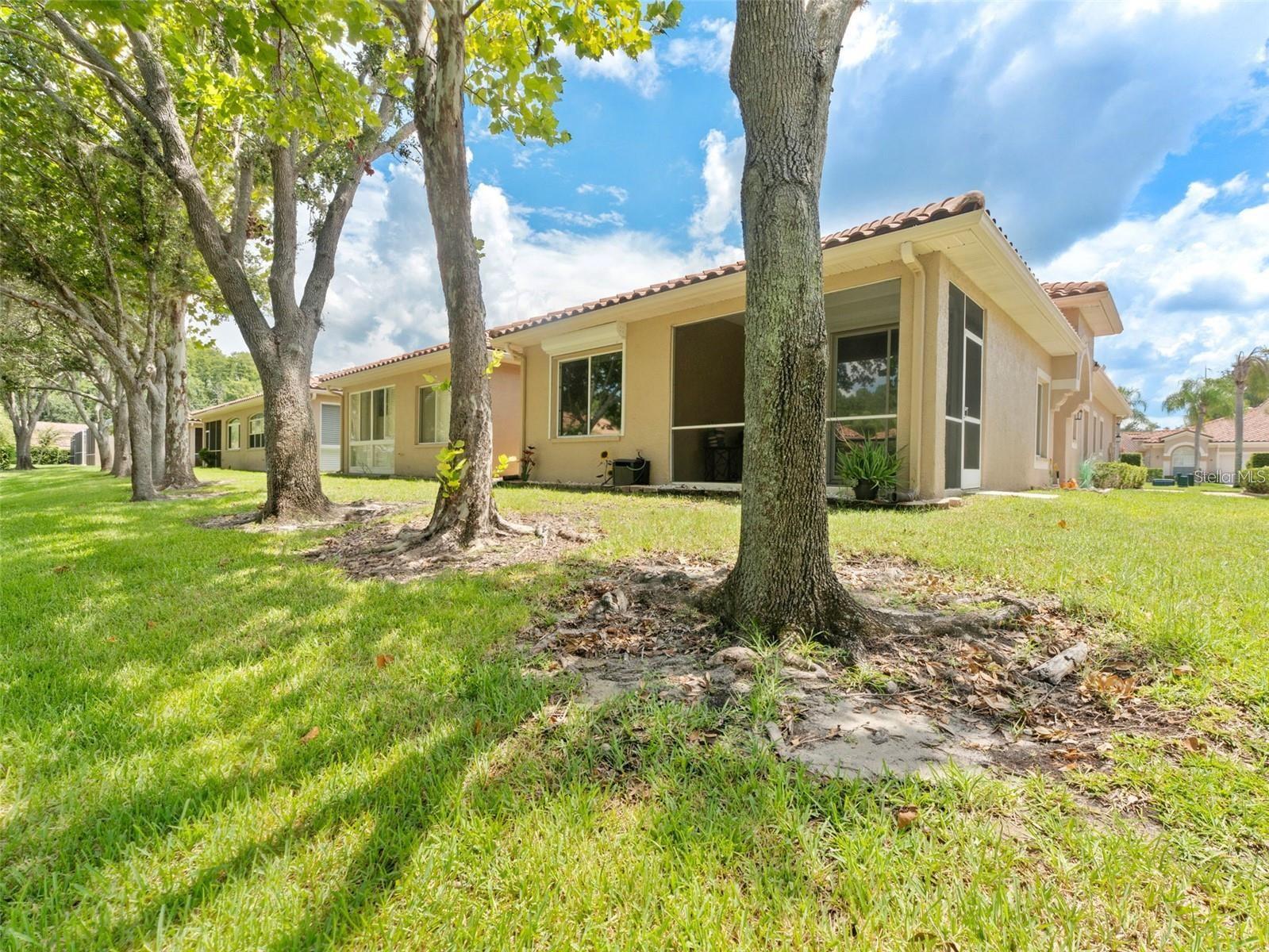 View from villa from the back