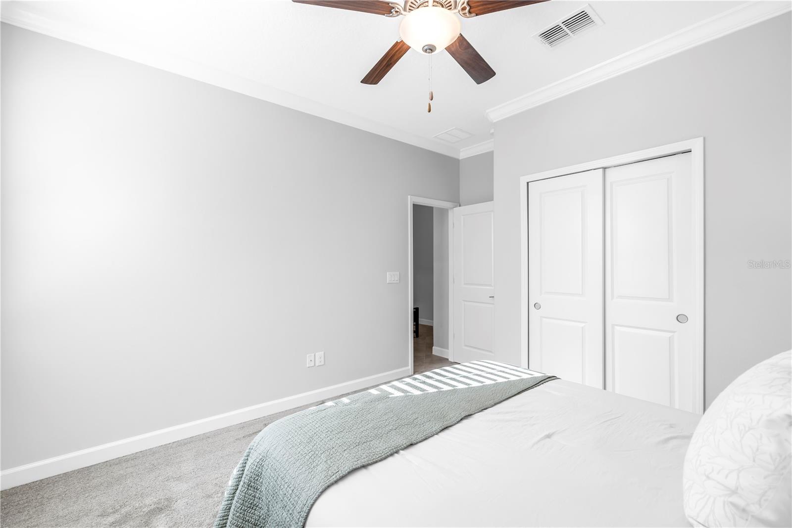 Bedroom 3 - A plethora of natural light