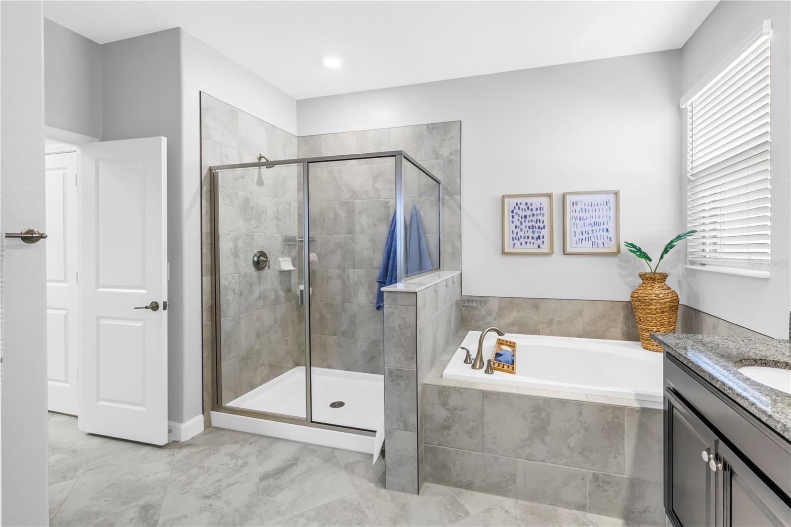 Glass Enclosed Shower + a Separate Soaker Tub